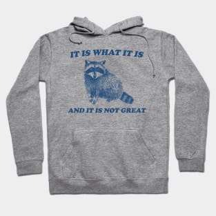 It Is What It Is And It Is Not Great, Funny Sweatshirt, Raccoon Sweatshirt, Cartoon Meme Top, Vintage Cartoon Hoodie